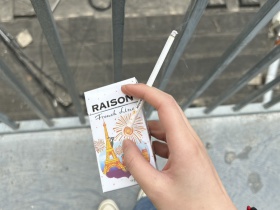 铁塔猫(芒果爆珠细支)