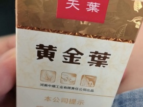 106395_84838