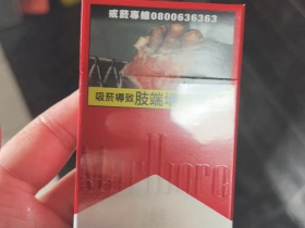 94904_79985