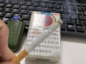 95110_70235