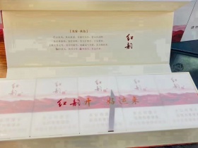 娇子(红韵)