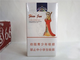 大青山(昭君和亲中支)