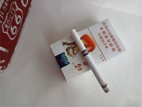 大青山(昭君和亲中支)
