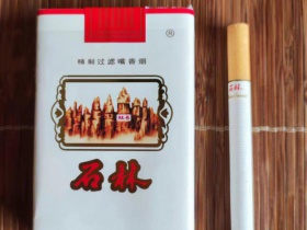 石林(软)