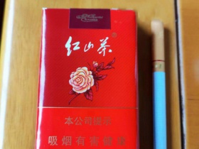 红山茶(软)