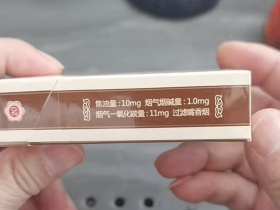 泰山(风)