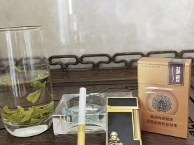 苏烟(天星)