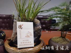 泰山(德)