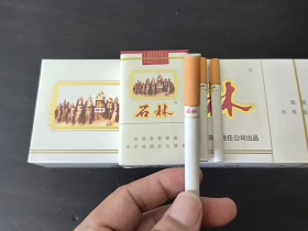 石林(软)