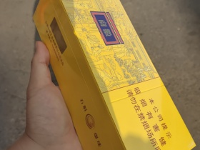 93537_74629