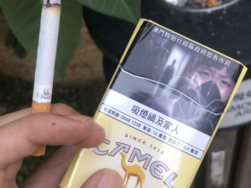 骆驼(硬黄澳门加税版)