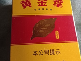黄金叶(金满堂)