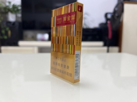 黄金叶(金炫尚)