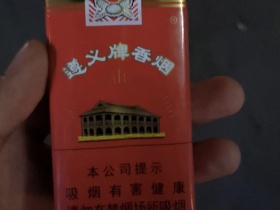 遵义(软)