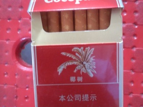 椰树(硬)