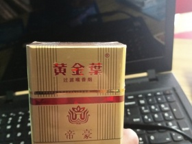 黄金叶(硬帝豪)