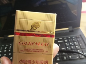 黄金叶(硬帝豪)