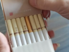 金圣(智圣出山16支装)