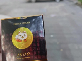 好猫(招财进宝1600)