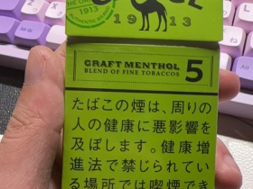骆驼(硬绿薄荷5mg日税版)