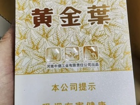 95666_71751