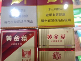 黄金叶(金满堂)