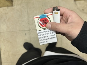 95110_86500