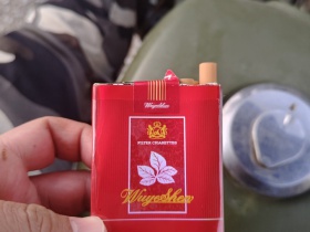 五叶神(软红)