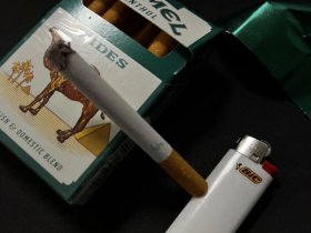 骆驼(薄荷)