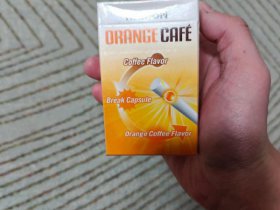 铁塔猫(橙子奶油)