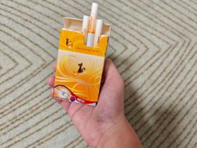 铁塔猫(橙子奶油)