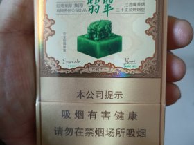 玉溪(翡翠双中支)