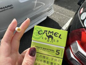 骆驼(硬绿薄荷5mg日税版)
