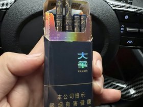 大华(黄金眼中支)