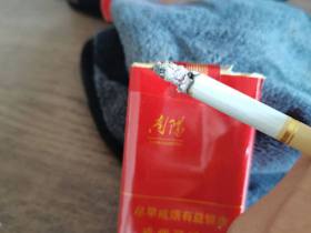 黄金叶(软红南阳)