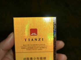 天子(中国心中支)