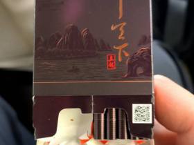 真龙(甲天下中支)