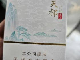黄山(天都中支)