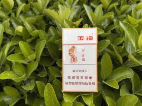玉溪(细支阿诗玛)