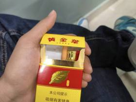 黄金叶(金满堂)