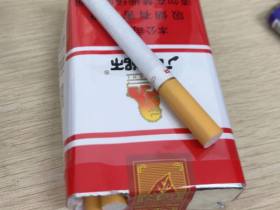 石狮(软富健)