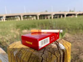 双喜(硬红五叶神)