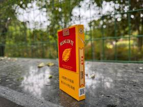 黄金叶(百年浓香细支)