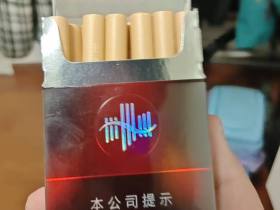 黄山(黑松)