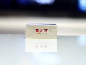 92605_89917