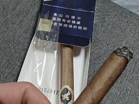 长城(骑士1号)