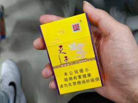天子(金)
