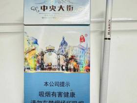 龙烟(中央大街)
