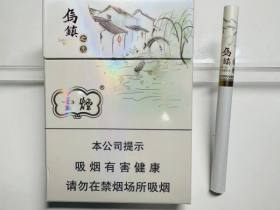 云烟(乌镇之恋中支)