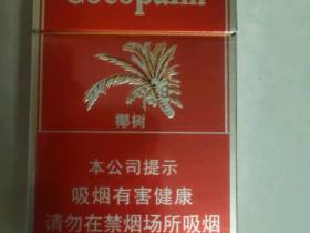 椰树(硬)